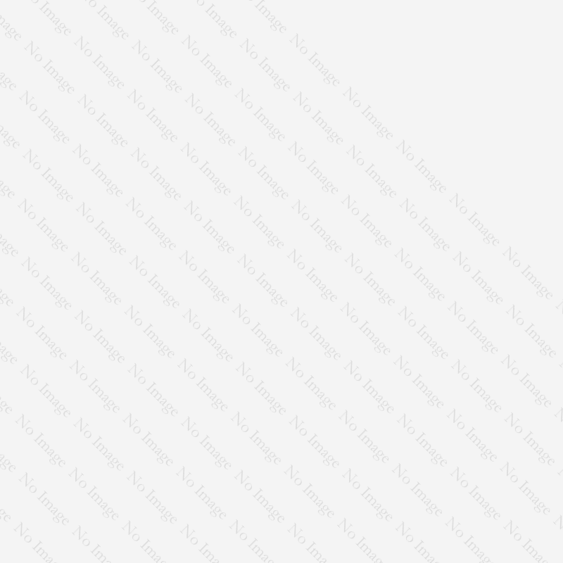 SS 20