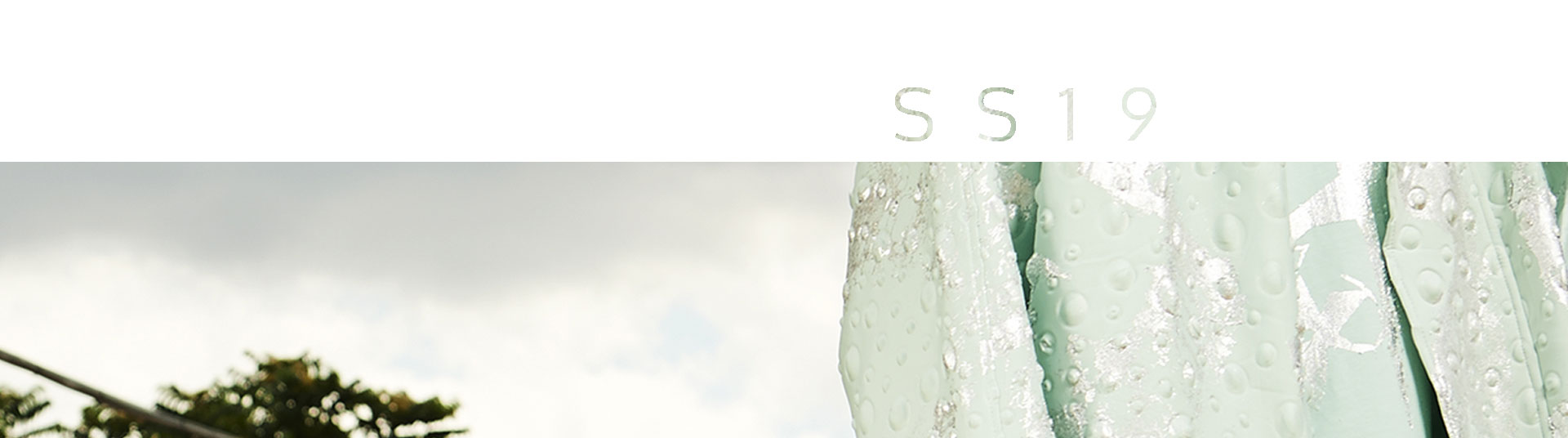 ss19